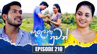 Salena Nuwan සැලෙනා නුවන්  Episode 210  07th December 2024 [upl. by Tarr]