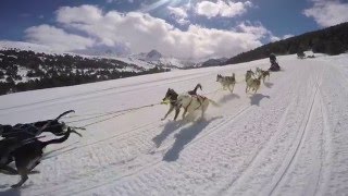 Grandvalira Mushing by GoPro  Activities Andorra 2016 [upl. by Llednik]