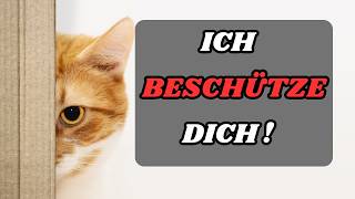 Wenn deine Katze das tut beschützt sie dich und dein Zuhause😼  Die Schutzinstinkte von Katzen [upl. by Anaylil]