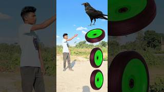 Spining Tyre PNG to peacock tota kabutar and crow vfx shorts video trending shorts [upl. by Ariik]