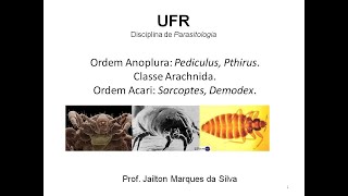 Aula 10  Parasitologia humana  Piolhos e sarnas [upl. by Ydnas]