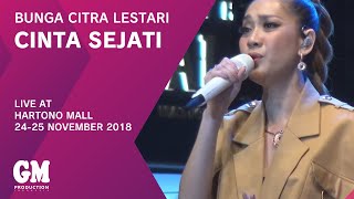 BCL  Cinta Sejati LIVE [upl. by Noni919]