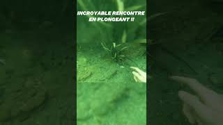 INCROYABLE RENCONTRE EN PLONGEANT  underwater ocean plongéesousmarine plage beach [upl. by Juster]