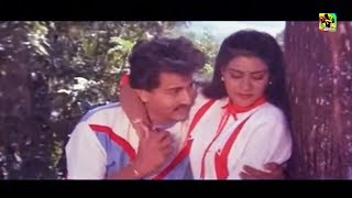 பாராமல் பார்த்த நெஞ்சம் HQ  Paaramal Paartha Nenjam Songs  Ilayaraja Hits  Mano amp Chithra Songs [upl. by Kacie]