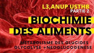 Biochimie des aliments GlycolyseNéoglucogenèse ANUP USTHB [upl. by Noami778]