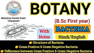 BSC First Year Botany  Botany First PaperStructure of BacteriaGram Ve amp Gram Ve Bacteria [upl. by Chi819]