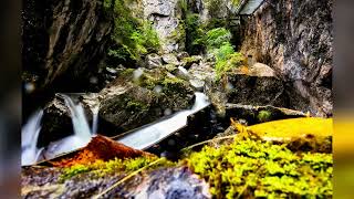 So sieht es in der Pöllatschlucht in Schwangau aktuell aus [upl. by Etnauj]