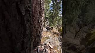 Mountain Biking in Pemberton BC [upl. by Grove793]