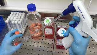 Passaging cells protocol of SKBR3 cell line [upl. by Emmett]