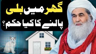 Islamic Question AnswerGhr Main Billi Palny ka Kya hukumMaulana Ilyas QadriDawateIslamil [upl. by Elorac609]