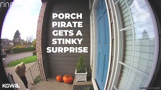 Portland porch pirate gets a stinky surprise [upl. by Desma]