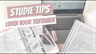 HOE LEER JE EEN SAMENVATTING VOOR EEN TENTAMEN 📚 • Studietips 2  Tessa Jansen [upl. by Ahtela]