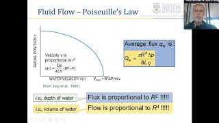 ENVT2236 Soil Water Dynamics  salinity [upl. by Malkah]