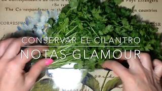 CÓMO GUARDAR EL CILANTRO EN LA NEVERA  CILANTRO FRESCO POR MÁS TIEMPO  CONSERVACIÓN DE ALIMENTOS [upl. by Yelhs]