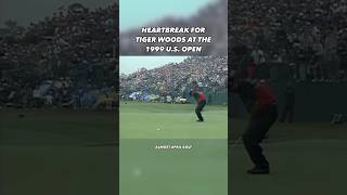 One of the few times Tiger Woods experienced heart break golf [upl. by Ordnas936]