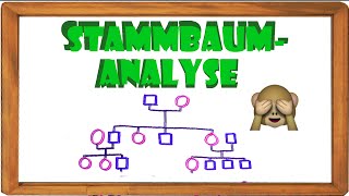 Stammbaumanalyse Teil 2  Das Analysieren einfach erklärt ElenAlina [upl. by Kironde]