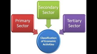 Sectors of Economy  Primary Secondary Tertiary Quaternary Quinary [upl. by Air]