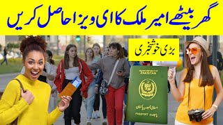 E Visa For Pakistani  ETA in 47 Dollars  PAKISTANI PASSPORT EVISA [upl. by Selry]