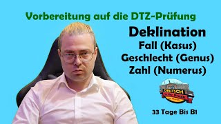 33 Tage bis B1 Deklination Kasus Genus Numerus einfach Erklärt Німецька DTZ [upl. by Hollerman791]