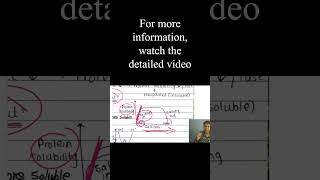 Protein Solubility Graph biochemistry biotechnology aminoacid iitjam shorts [upl. by Fulks]