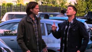 Supernatural Season 09 x 05 Dean vs the Pigeon [upl. by Annawek]