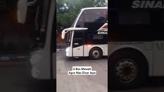 Duo Bus MewahAgra Mas Feat Sinar Jaya [upl. by Nevarc]