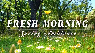 🌿🌞Begin Your Day with the POSITIVE ENERGY of Healing Spring Sounds🌿Fresh Morning Ambience Meditation [upl. by Lail]