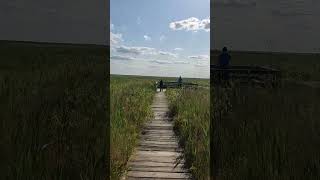 Biebrzański Park Narodowy ścieżka Długa Luka oraz pkt widokowy Kanał Rudzki k OsowiecTwierdza ☀️🌳 [upl. by Netsuj]