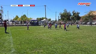 ohiggins vs toritos linares A [upl. by Yatzeck]