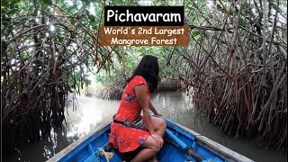 Worlds 2nd Largest Mangrove Forest  Pichavaram  A Day Trip From Pondicherry [upl. by Secrest]