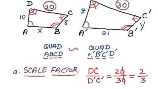 How to Geometry 73 Similar Polygons [upl. by Elia]