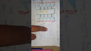 Dr Najeeb Lecture Review Vertebral Column Development Review [upl. by Mylor772]