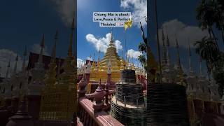 Chiang Mai is about LovePeace amp Perfect🇹🇭🫶🏻travel backpacker chiangmai thailandtourism [upl. by Hansen]