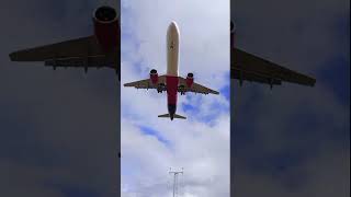 Wizz Air a321 flyover  Luton Airport  a321  aviation wizzair airbus lutonairport [upl. by Reni]