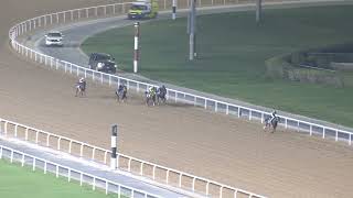 MEYDAN TRIALS 131124 TRIAL 6 [upl. by Holihs504]