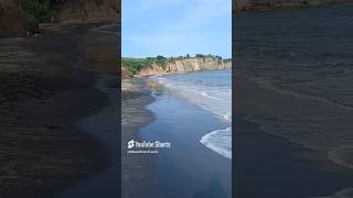 Black sand Beach Puerto Rico Horse Rides Vieques [upl. by Rufe]