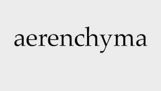 How to Pronounce aerenchyma [upl. by Buiron]