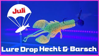 Feinste Ware  Lure Drop Juli von Hecht amp BarschI Unboxing I UVTest [upl. by Hewett]