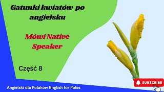 Fiszki kwiaty po angielsku Część 8 film interaktywny Mówi Native Speaker [upl. by Nagad]