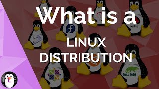 Linux DISTRIBUTION explained [upl. by Elfrieda]