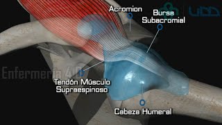 🌟EXAMEN DE LAS EXTREMIDADES SUPERIORES🌟 [upl. by Nosreve]