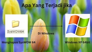 Apa yang terjadi jika Kita mengahapus SysWow64 Di Windows Xp x64 [upl. by Anyehs229]