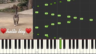 here comes the boy hello boy Exact Piano Arpeggio Notes Piano Tutorial Synthesia [upl. by Netsryk]