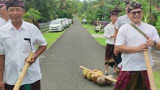 Blimbingsari Festival 2024 [upl. by Aneeroc450]