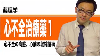 心不全治療薬①（心不全の病態、心筋の収縮機構） [upl. by Markos]