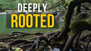 BIBLE SERMON DEEPLY ROOTED [upl. by Thorner768]