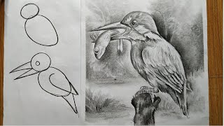 how to draw kingfisher bird with pencil sketch for beginners step by stepeasy bird [upl. by Nylyak]