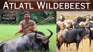 Wildebeest Primitive Hunting  Atlatl  Bow amp Arrow [upl. by Gagnon]