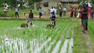 power weeder  Power weeding in Paddy Cultivation [upl. by Assereht425]