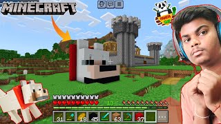 I Made A Dog House In Minecraft Panda Smp In Mobile Ep 7 Gameplay Da Gamer [upl. by Anastasius406]